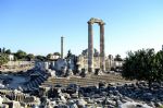 Didyma Apollon Tapınağı 