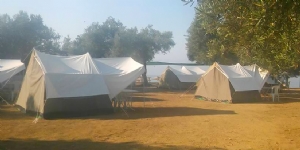 Kamp Olive Tesis Fotoğrafı