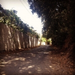Bodrum Bitez