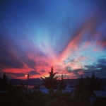 Bodrum Bitez