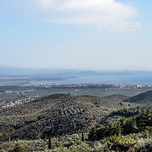 İstanbul Bursa Üzerinden Kazdağları'na Nasıl Gidilir